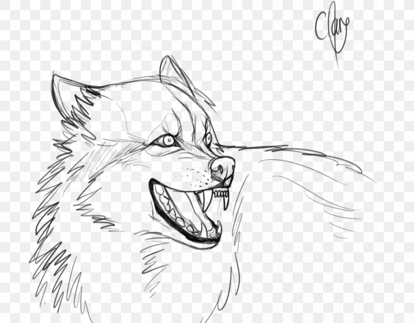 Gray Wolf Snout Line Art Drawing Sketch, PNG, 1011x790px, Gray Wolf ...