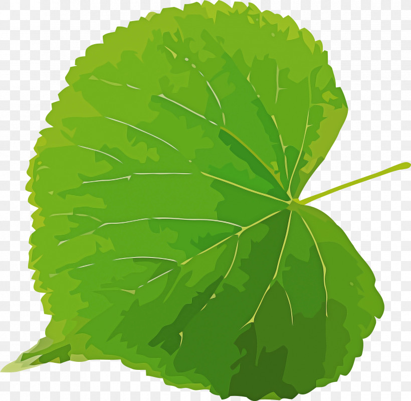 Bodhi Day, PNG, 2447x2386px, Bodhi Day, Biology, Computer Science, Grape, Grape Leaves Download Free