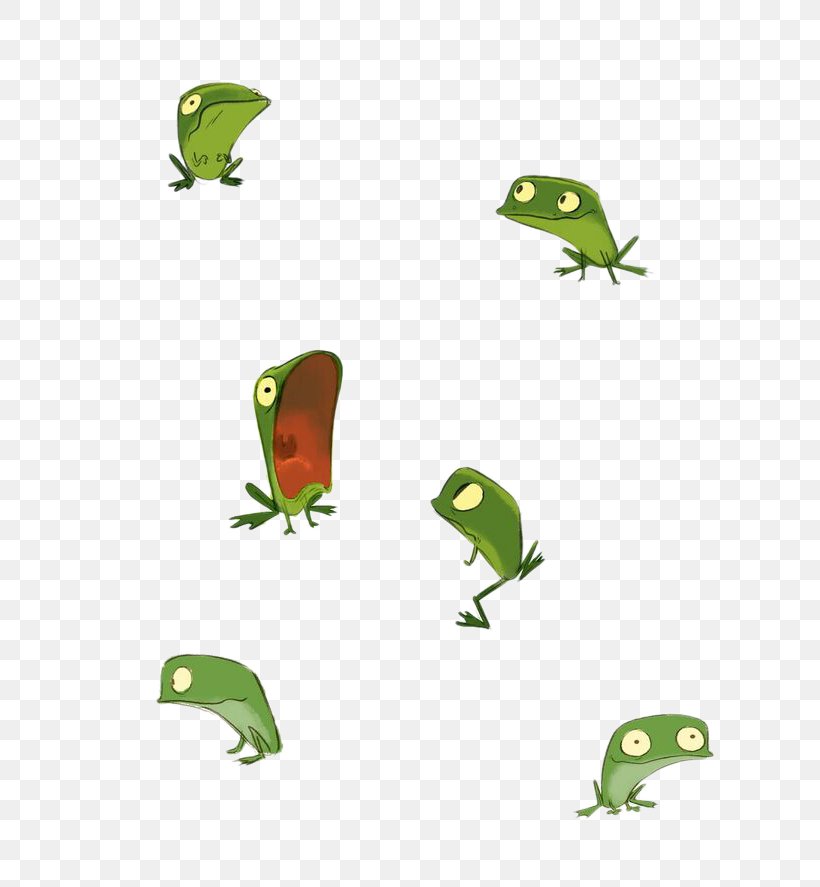 Frog Drawing Model Sheet Illustration, PNG, 736x887px, Frog, Amphibian, Cartoon, Character, Character Design Download Free