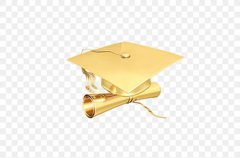 Graduate University Graduation Ceremony Student School Master's Degree, PNG, 723x542px, Graduate University, Beige, College, Course, Education Download Free