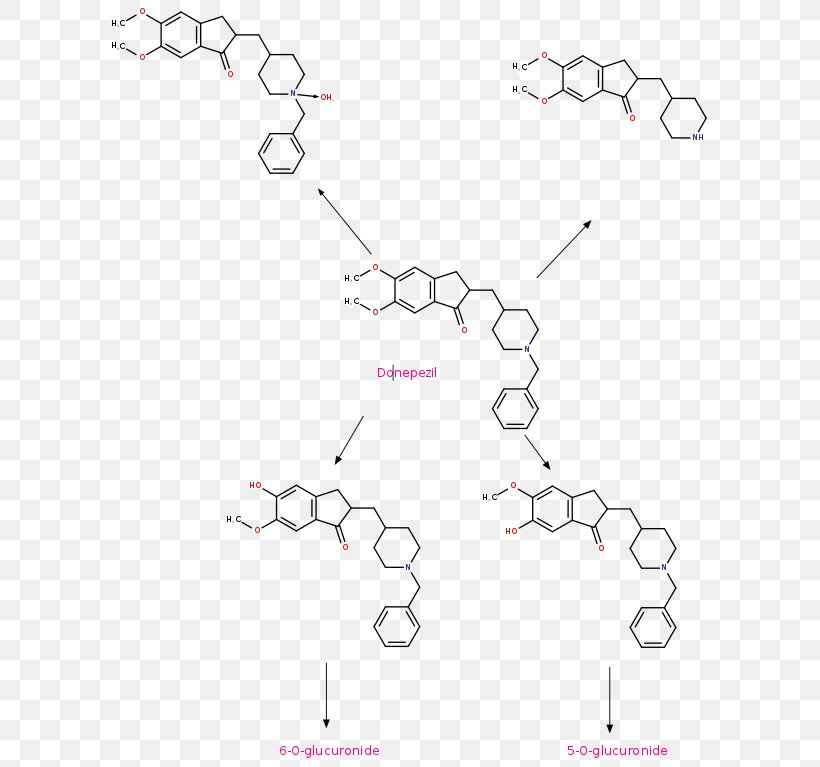 Acetylcholinesterase Butyrylcholinesterase Ferric Chloride Test Cholinergic, PNG, 613x767px, Acetylcholinesterase, Area, Butyrylcholinesterase, Chemical Compound, Choline Download Free