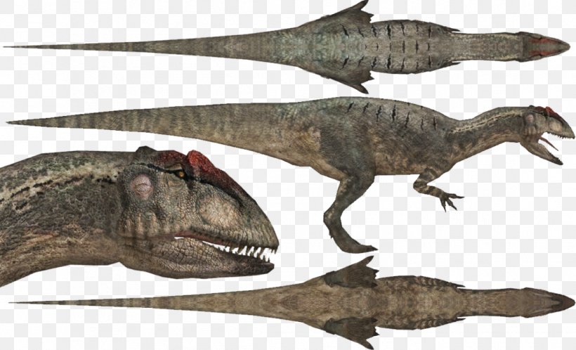 Allosaurus Apatosaurus Diplodocus Postosuchus Velociraptor, PNG, 1147x697px, Allosaurus, Apatosaurus, Ballad Of Big Al, Big Al, Brachiosaurus Download Free