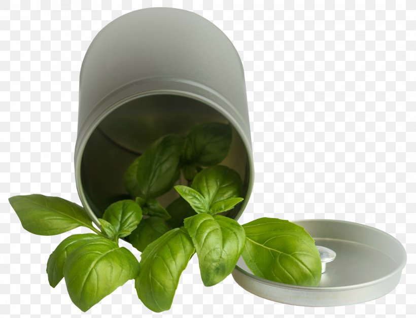 Basil, PNG, 2134x1633px, Basil, Essential Oil, Estragole, Herb, Herbalism Download Free