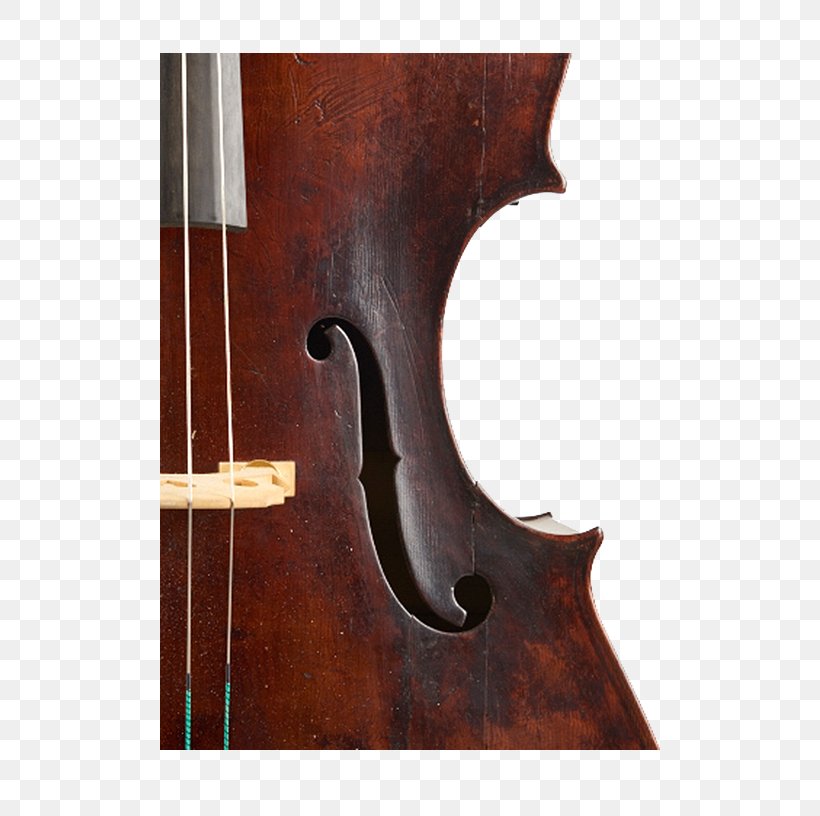 Bass Violin Double Bass Violone Viola Octobass, PNG, 500x816px, Bass Violin, Bass, Bowed String Instrument, Cello, Double Bass Download Free