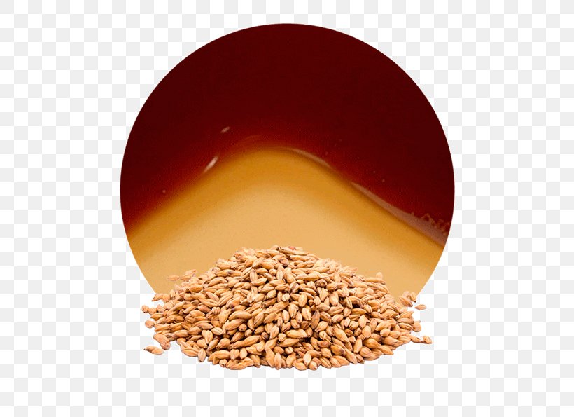 Beer Malt Cereal Grain Barley, PNG, 536x595px, Beer, Barley, Cereal, Cereal Germ, Commodity Download Free