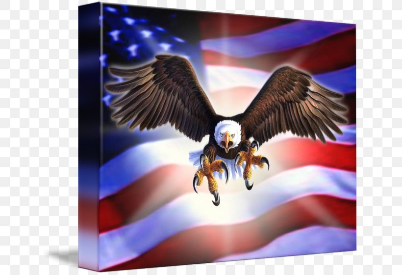 Eagle Gallery Wrap Canvas Art, PNG, 650x560px, Eagle, American Eagle Outfitters, Art, Beak, Bird Download Free