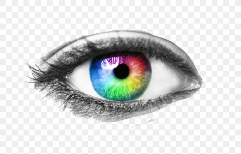 Human Eye Eye Examination Visual Perception, PNG, 893x570px, Watercolor, Cartoon, Flower, Frame, Heart Download Free