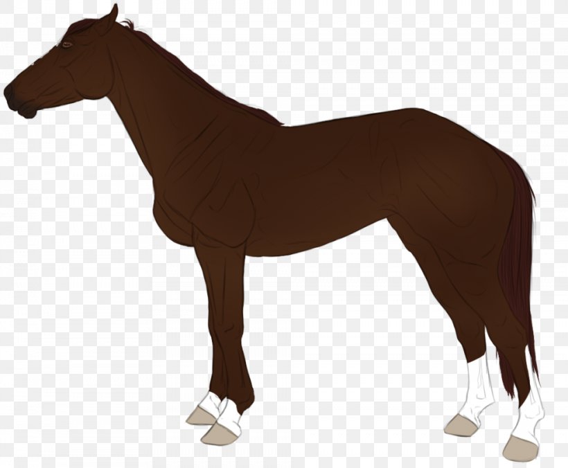 Mustang Foal Stallion Rein English Riding, PNG, 984x812px, Mustang, Animal Figure, Bridle, Colt, English Riding Download Free