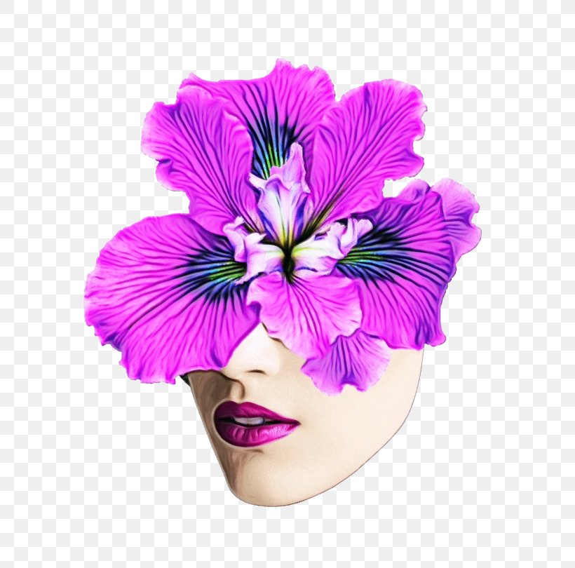 Pink Flower Cartoon, PNG, 810x810px, Pansy, Cut Flowers, Flower, Hair Accessory, Hibiscus Download Free