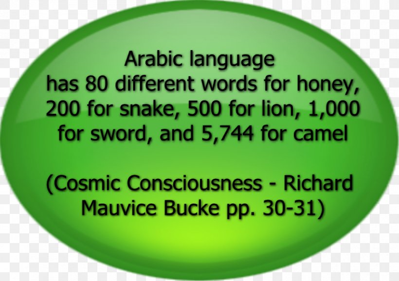 Quran Arabic Language Hadith Word, PNG, 850x600px, Quran, Arabic Language, Arabs, Child, Dua Download Free