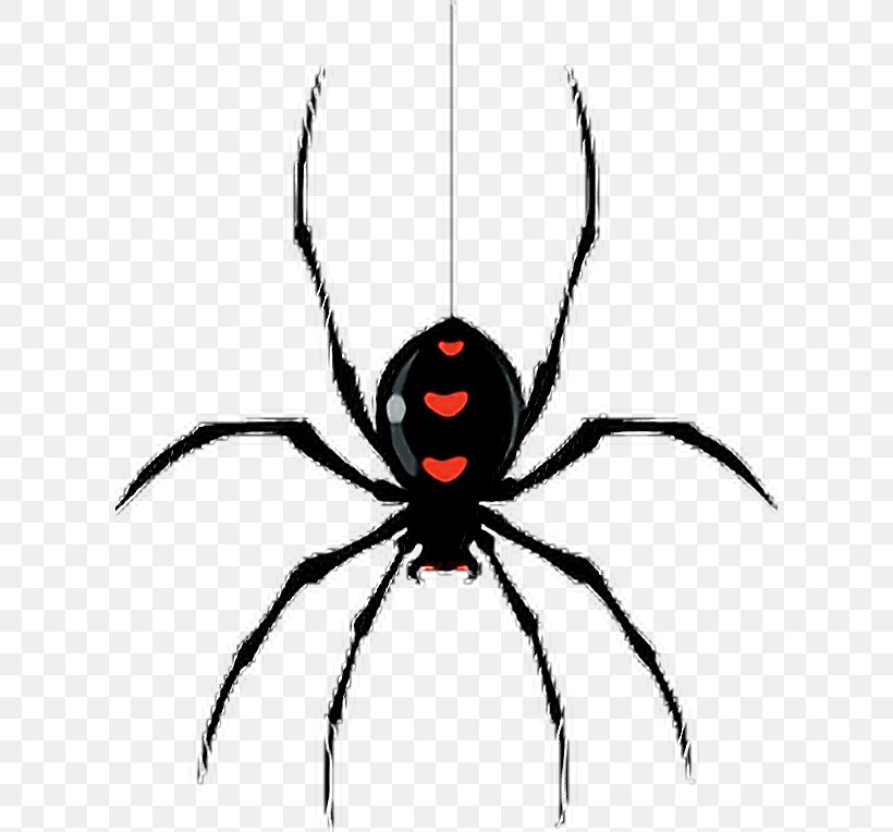 Spider-Man The Very Busy Spider Vector Graphics Clip Art, PNG, 608x764px, Spider, Animal, Arachnid, Araneus, Arthropod Download Free