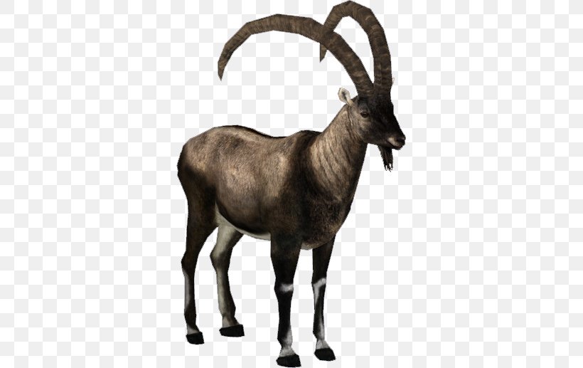 Antelope Alpine Ibex Pyrenean Ibex Goat Walia Ibex, PNG, 517x517px, Antelope, Alpine Ibex, Cattle Like Mammal, Chamois, Cow Goat Family Download Free