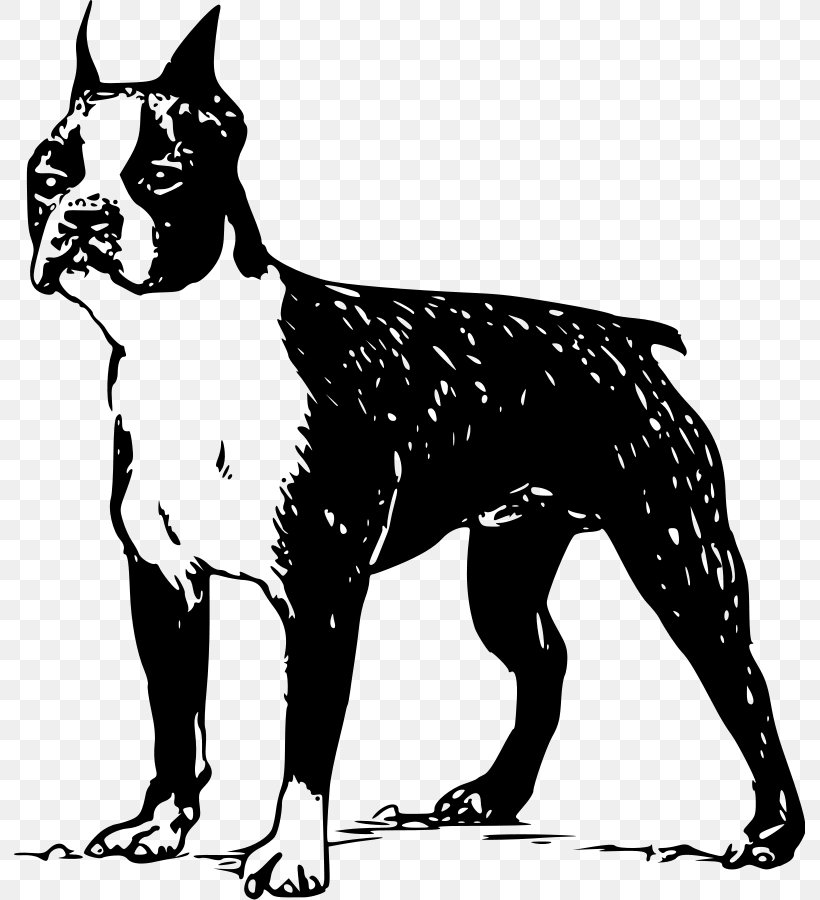Boston Terrier French Bulldog Puppy Clip Art, PNG, 791x900px, Boston Terrier, Black And White, Bulldog, Carnivoran, Dog Download Free