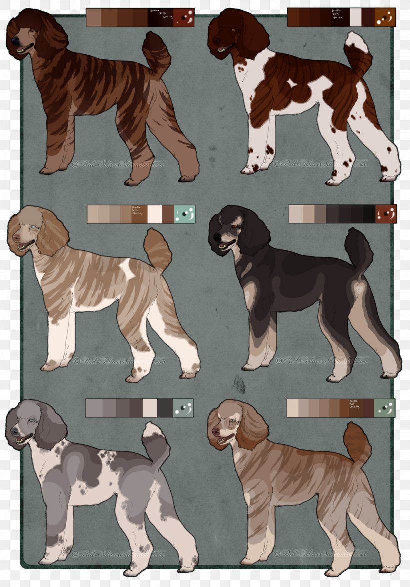 Dog Breed Sporting Group Crossbreed, PNG, 1024x1466px, Dog Breed, Breed, Carnivoran, Crossbreed, Dog Download Free