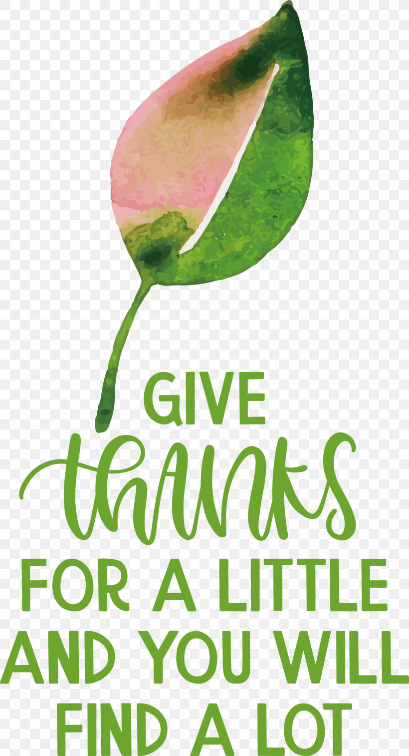 Give Thanks Thanksgiving, PNG, 1624x3000px, Give Thanks, Biology, Fruit, Leaf, Meter Download Free