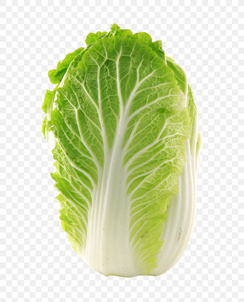 Napa Cabbage Vegetable Chinese Cabbage Glebionis Coronaria Seed, PNG, 680x1013px, Napa Cabbage, Cabbage, Cabbage Family, Carrot, Chinese Cabbage Download Free