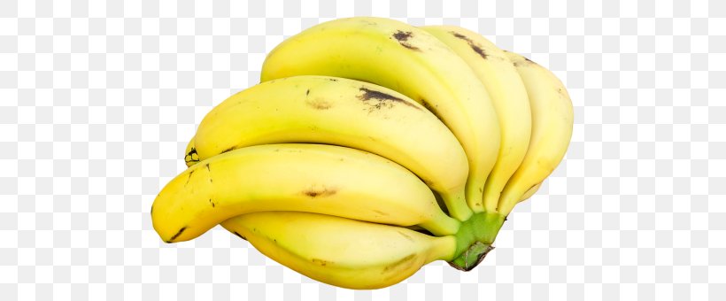 Saba Banana Fruit Banana Bread Cooking Banana, PNG, 500x340px, Banana, Banana Bread, Banana Family, Cooking Banana, Cooking Plantain Download Free