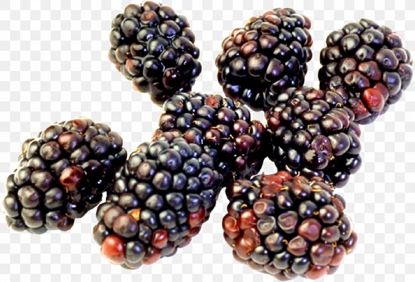 Longman Dictionary Of Contemporary English Blackberry Food Rubus Laciniatus, PNG, 1134x770px, Berry, Black Raspberry, Blackberry, Blueberry, Boysenberry Download Free