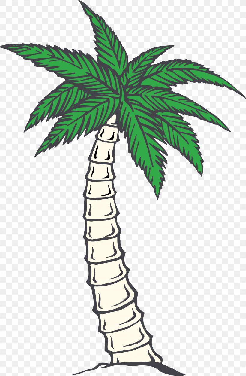 Palm Trees Coconut Nata De Coco Image GIF, PNG, 2900x4427px, Palm Trees, Arecales, Blackandwhite, Botany, Coconut Download Free