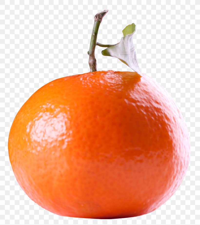 Tangerine Orange Tangelo Fruit, PNG, 1520x1710px, Tangerine, Bitter Orange, Citric Acid, Citrus, Clementine Download Free