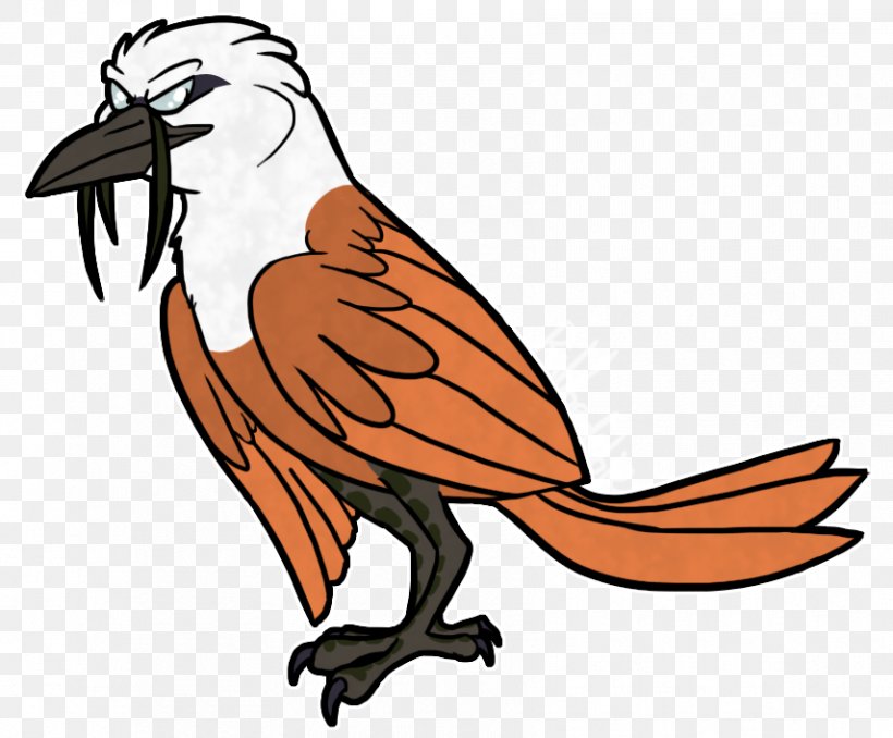Three-wattled Bellbird Drawing Cartoon, PNG, 855x707px, Bird, Animal, Animal Figure, Animation, Art Download Free