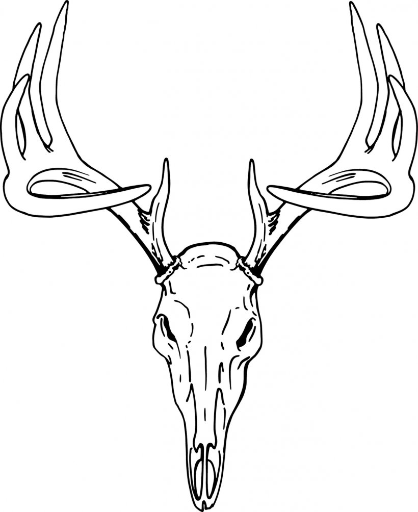 White-tailed Deer Elk Red Deer Clip Art, PNG, 1306x1600px, Deer, Antler, Artwork, Black And White, Bone Download Free