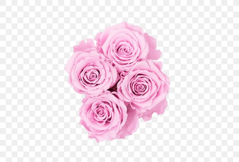 Garden Roses Cabbage Rose Flower Bouquet Cut Flowers, PNG, 600x556px, Garden Roses, Artificial Flower, Beige, Bouquet, Bride Download Free