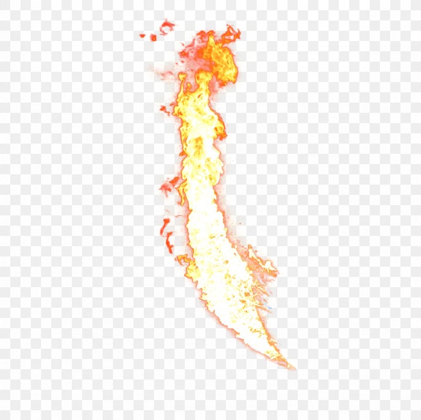 Light Flame Combustion Fire, PNG, 2362x2362px, Light, Combustion, Fire, Flame, Gratis Download Free