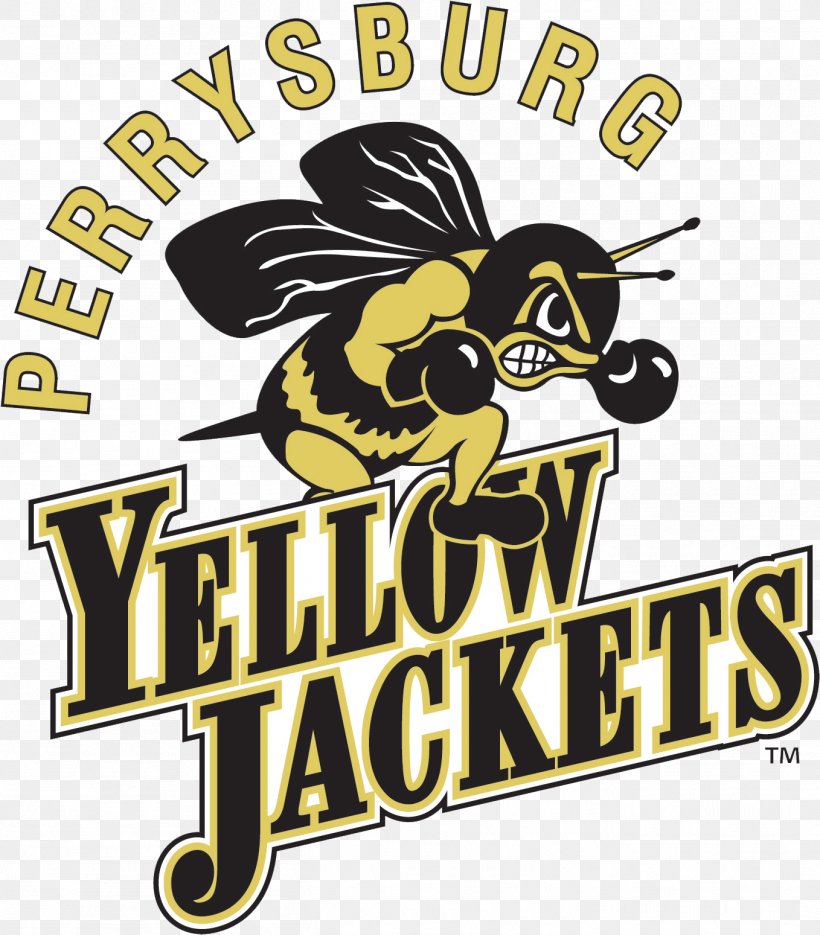 Perrysburg High School Perrysburg Junior High School Perrysburg Exempted Village School District National Secondary School, PNG, 1358x1549px, Perrysburg High School, Area, Brand, Education, Elementary School Download Free