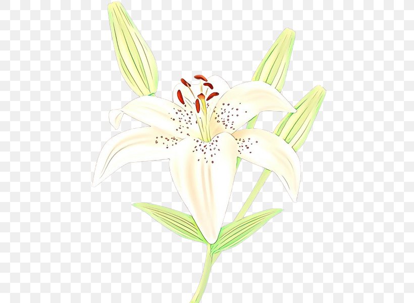 Amaryllis Jersey Lily Belladonna Plant Stem Plants, PNG, 493x600px, Amaryllis, Alstroemeriaceae, Amaryllis Belladonna, Anthurium, Belladonna Download Free