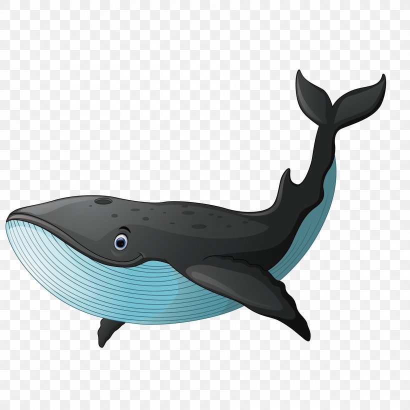 Black Whale, PNG, 1800x1800px, Sperm Whale, Cartoon, Dolphin, Drawing,  Fauna Download Free