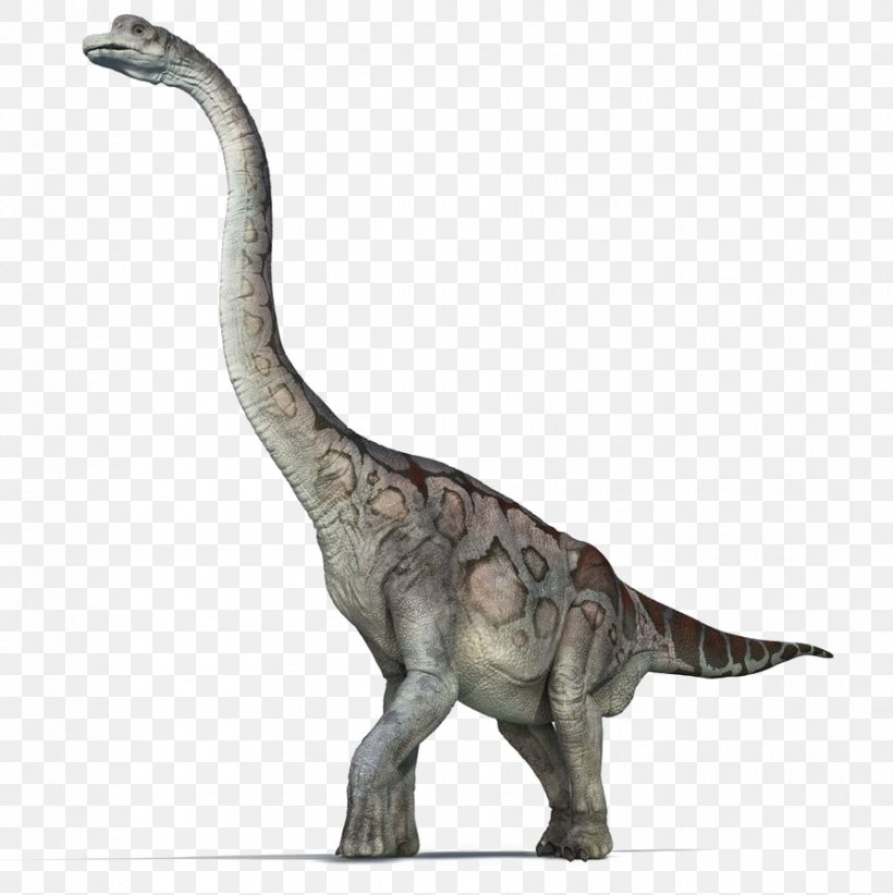 Brachiosaurus Sauropoda Dinosaur Reptile Jurassic Park, PNG, 892x895px, Brachiosaurus, Animal Figure, Dinosaur, Drawing, Extinction Download Free