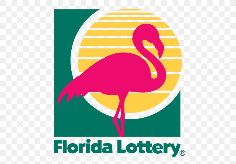 Florida Lottery Powerball Scratchcard, PNG, 500x569px, Florida Lottery, Area, Artwork, Beak, Bird Download Free