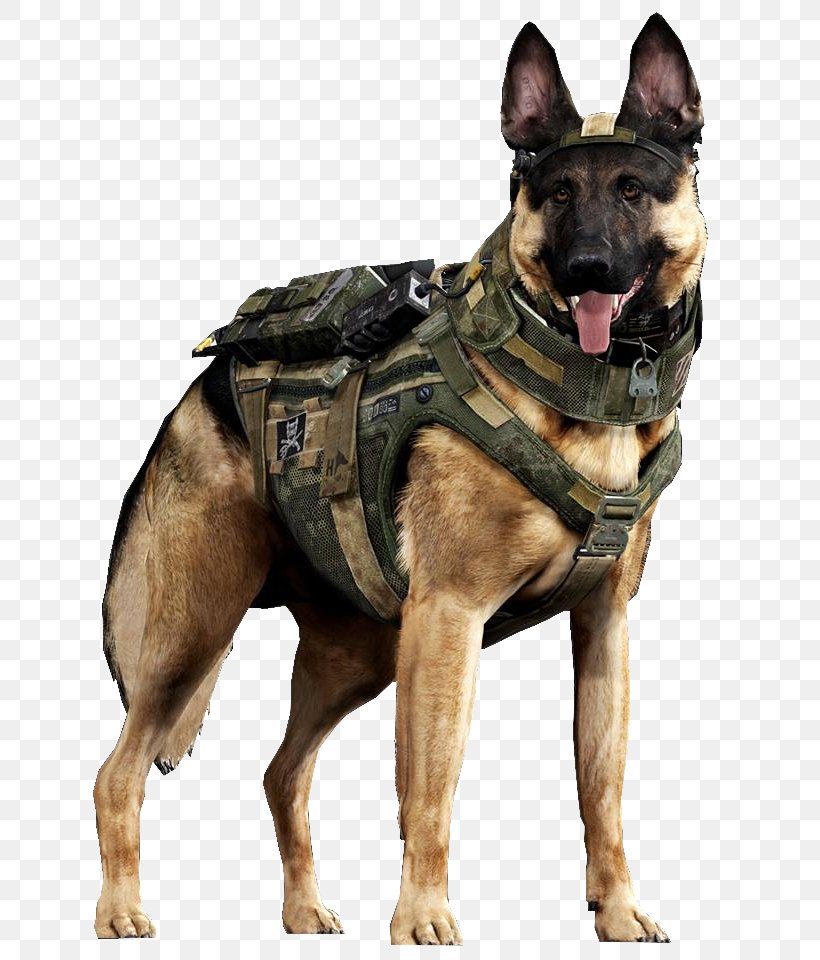 German Shepherd Call Of Duty: Ghosts Malinois Dog Dogs In Warfare Military, PNG, 773x960px, German Shepherd, Army, Belgian Shepherd Malinois, Call Of Duty Ghosts, Carnivoran Download Free