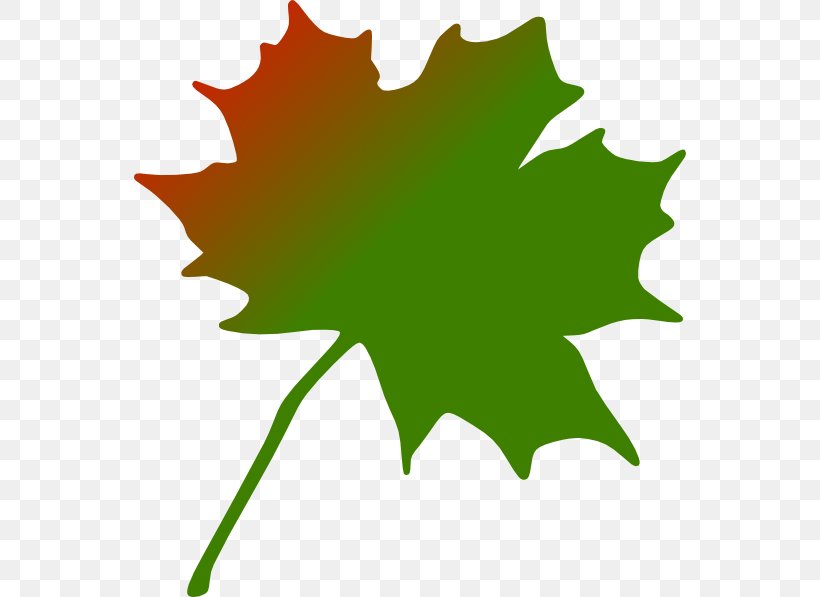 Maple Leaf Canada Clip Art, PNG, 552x597px, Maple Leaf, Autumn Leaf Color, Canada, Flag Of Canada, Flora Download Free