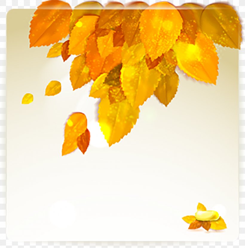 Autumn, PNG, 1500x1516px, Autumn, Autumn Leaves, Leaf, Maple Leaf, Orange Download Free
