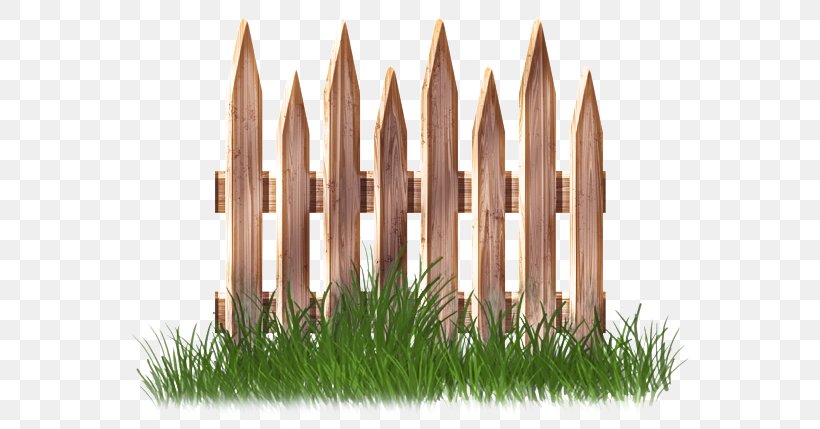 Grass Lawn Plant Fence Vascular Plant, PNG, 600x429px, Grass, Fence, Lawn, Plant, Vascular Plant Download Free