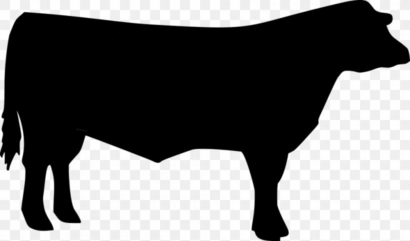 Cattle Clip Art 4-H Livestock Vector Graphics, PNG, 1000x589px, Cattle, Animal Show, Animal Silhouettes, Beef Cattle, Bovine Download Free