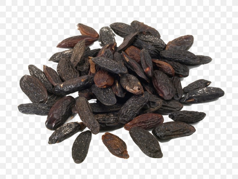 Tonka Beans Essential Oil Perfume Flavor, PNG, 1368x1026px, Tonka Beans, Anbau, Aroma, Castor Oil, Cocoa Bean Download Free