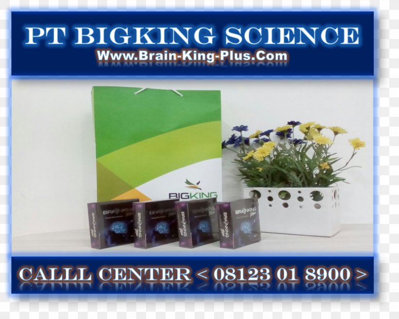 BRAINKING PLUS INDONESIA Nutrition Nerve Science, PNG, 1543x1234px, Nutrition, Brain, Disease, Drug, Electronic Component Download Free
