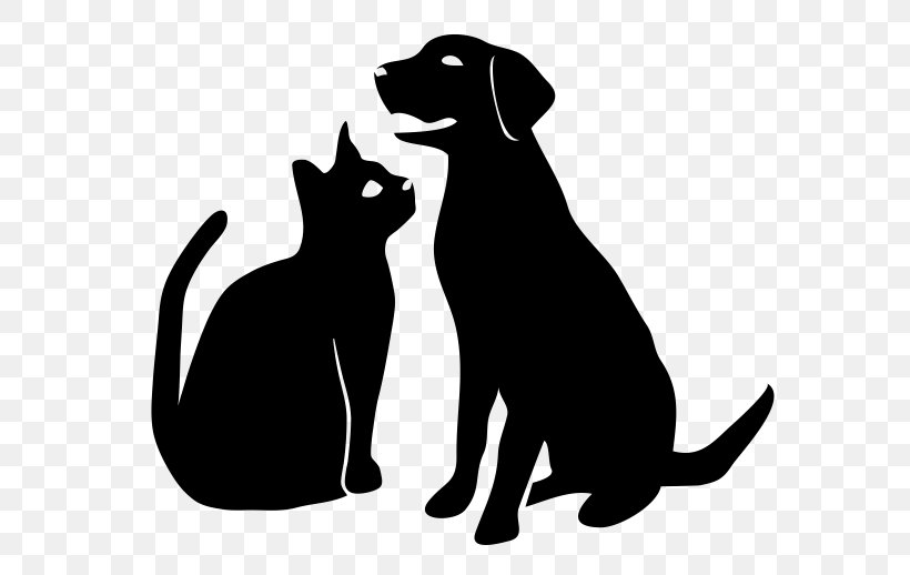 Dog Veterinarian Veterinary Medicine Pet Paws For Play Kennel And Daycare Ltd., PNG, 629x518px, Dog, Bachelor Of Veterinary Science, Black, Black And White, Black Cat Download Free