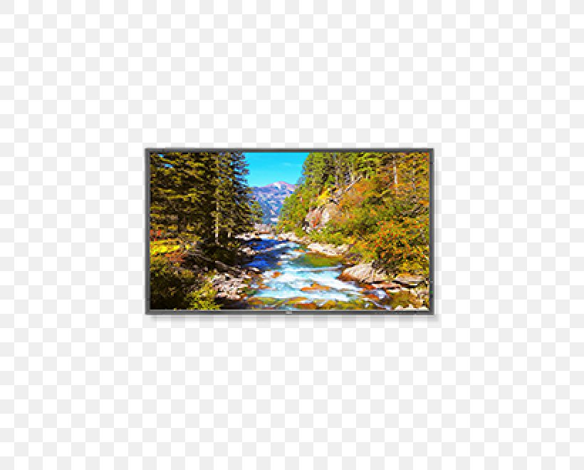 LED-backlit LCD Computer Monitors NEC Corp NEC LED Backlit Commercial-Grade Display Liquid-crystal Display, PNG, 500x659px, Ledbacklit Lcd, Autumn, Backlight, Computer Monitors, Display Device Download Free