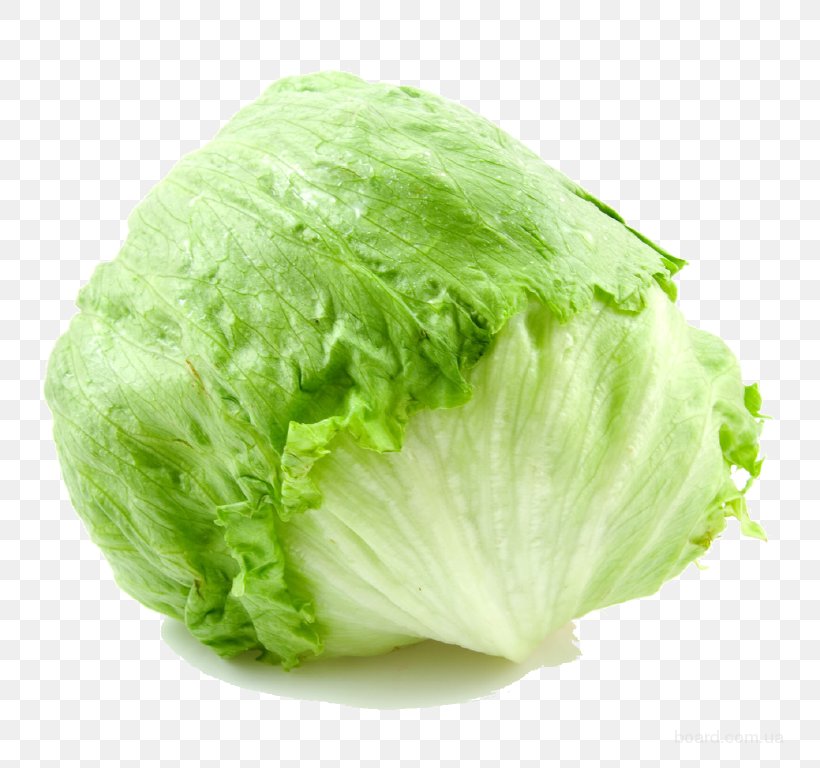 Vegetable Iceberg Lettuce Vegetarian Cuisine Butterhead Lettuce Salad, PNG, 768x768px, Vegetable, Butterhead Lettuce, Cabbage, Chard, Cruciferous Vegetables Download Free