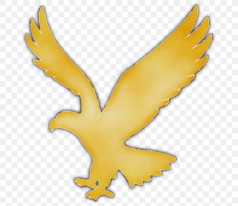 Wing Yellow Beak Bird Golden Eagle, PNG, 679x710px, Watercolor, Animal Figure, Beak, Bird, Claw Download Free