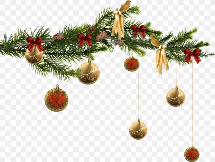 Ded Moroz Santa Claus New Year Tree Christmas, PNG, 1024x774px, Ded Moroz, Branch, Christmas, Christmas Decoration, Christmas Ornament Download Free