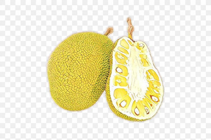 Fruit Cartoon, PNG, 1000x667px, Citron, Fruit, Ornament, Oval, Plant Download Free