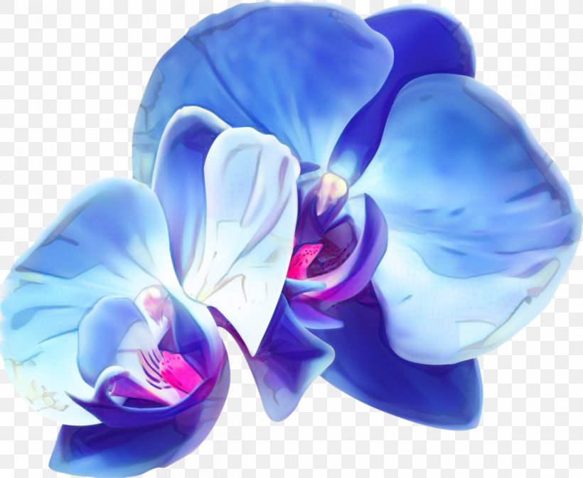 Blue Iris Flower, PNG, 1199x985px, Moth Orchids, Blue, Butterfly, Cobalt Blue, Cut Flowers Download Free