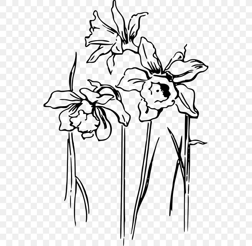 Floral Design I Wandered Lonely As A Cloud Drawing Daffodil Clip Art, PNG, 537x800px, Floral Design, Art, Artwork, Black, Black And White Download Free
