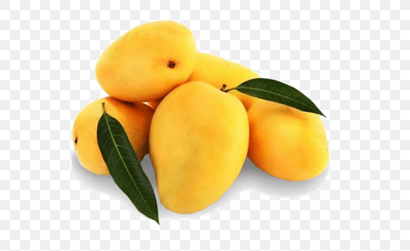Mango Lucknow Fruit Alphonso Juice, PNG, 548x502px, Mango, Alphonso, Apricot, Bitter Orange, Citron Download Free