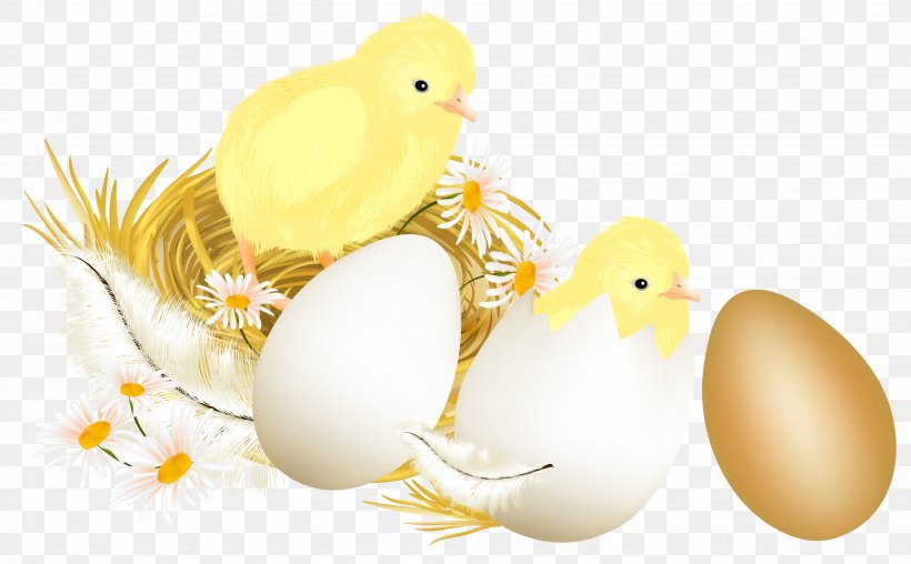 Easter Egg Easter Bunny, PNG, 3687x2288px, Easter, Beak, Easter Bunny, Easter Egg, Egg Download Free